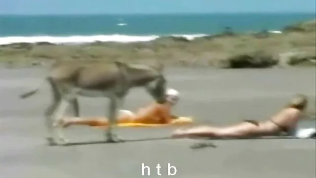 تبلیغات بکنبکن سوپر